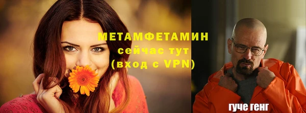 ПСИЛОЦИБИНОВЫЕ ГРИБЫ Белоозёрский