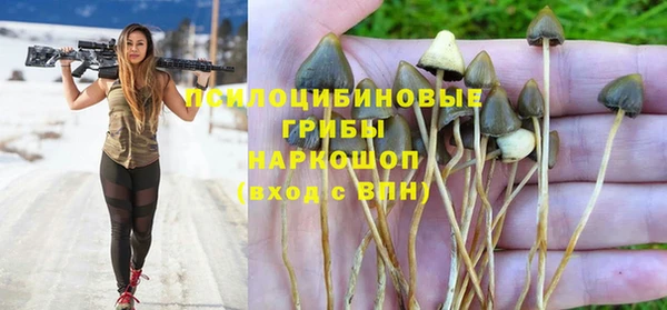 кокаин Белокуриха