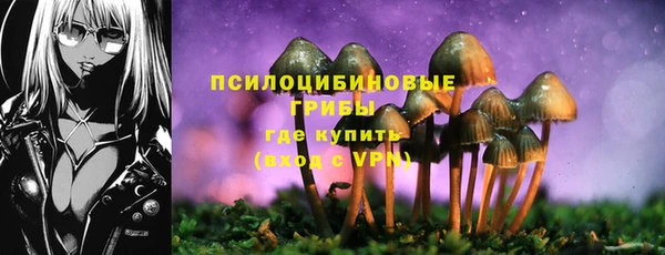 кокаин Белокуриха