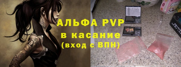 ПСИЛОЦИБИНОВЫЕ ГРИБЫ Белоозёрский