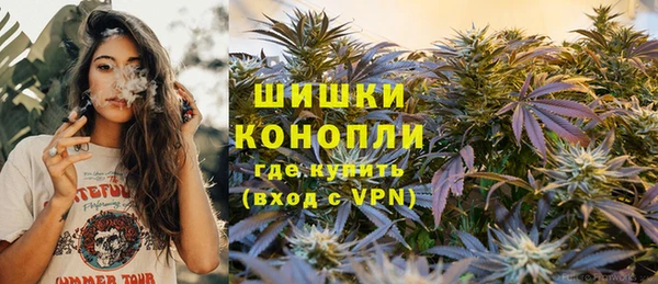 ПСИЛОЦИБИНОВЫЕ ГРИБЫ Белоозёрский