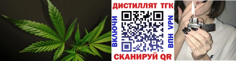 как найти закладки Моршанск Дистиллят ТГК гашишное масло