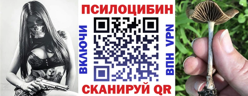 купить   blacksprut сайт  Псилоцибиновые грибы Magic Shrooms  Моршанск 